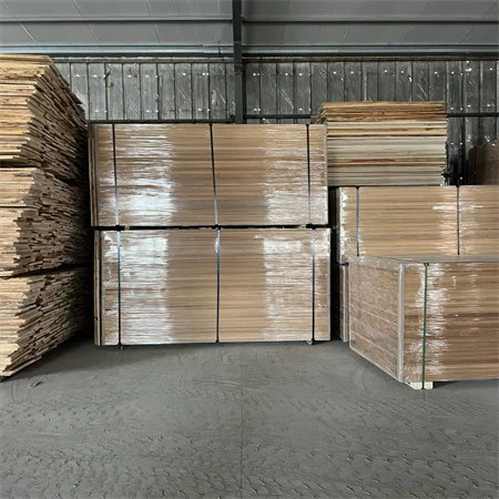 Placas de madeira carbonizadas de álamo